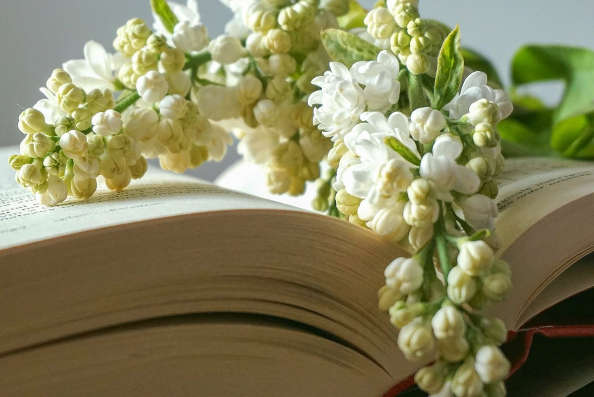 Buch mit weißem Flieder